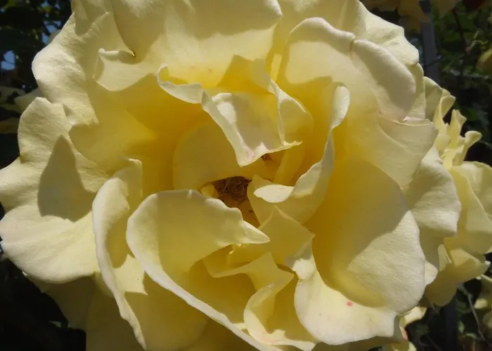 Santa Maria 아파트호텔 몬타이오네