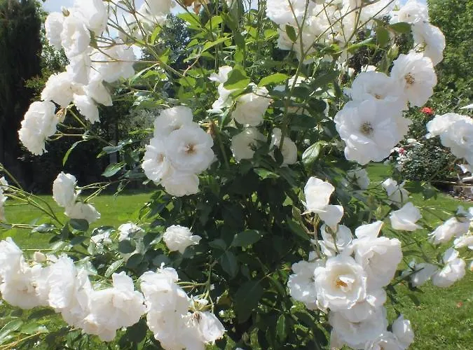 아파트호텔 Santa Maria 4*