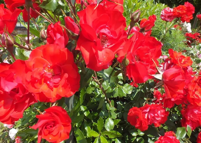 Santa Maria 아파트호텔